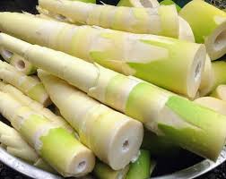 Bất ngờ tiềm năng y tế to lớn của 'siêu thực phẩm' măng tre